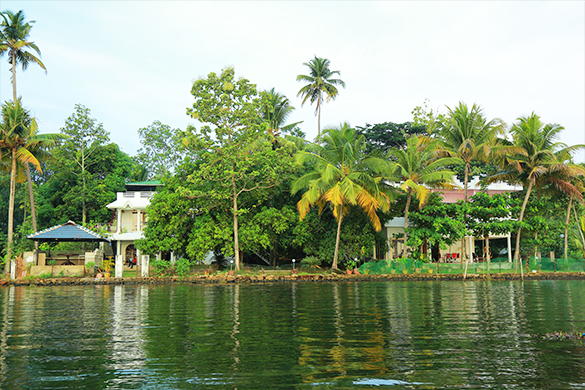 Orchid lake view homestay