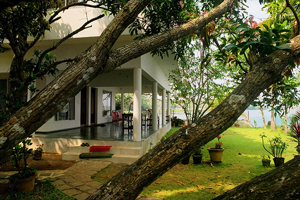 Orchid lake view homestay