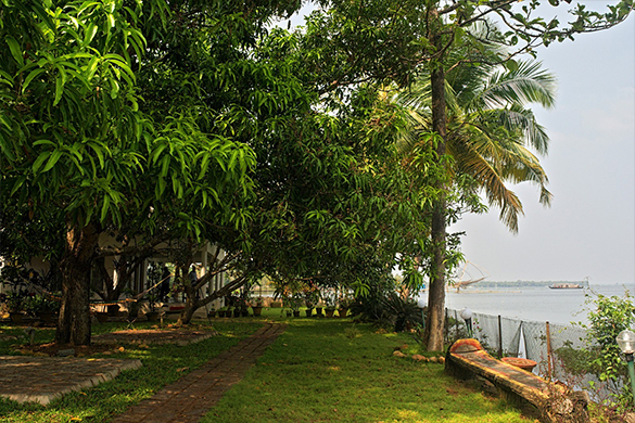 Orchid lake view homestay