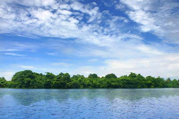 Pathiramanal Island