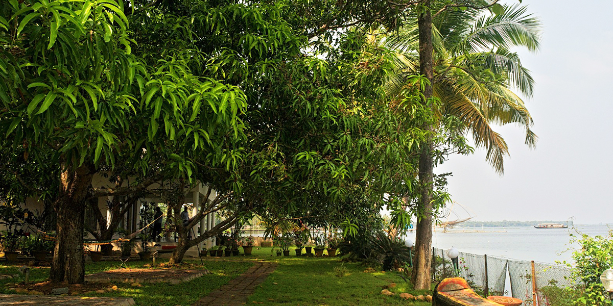 Orchid Lake View Homestay 